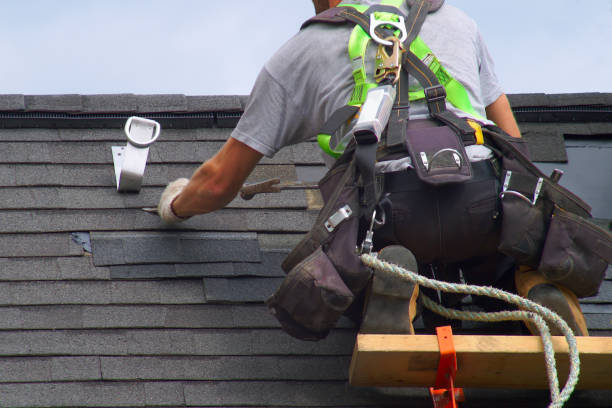 Best Shingle Roofing Installation  in USA